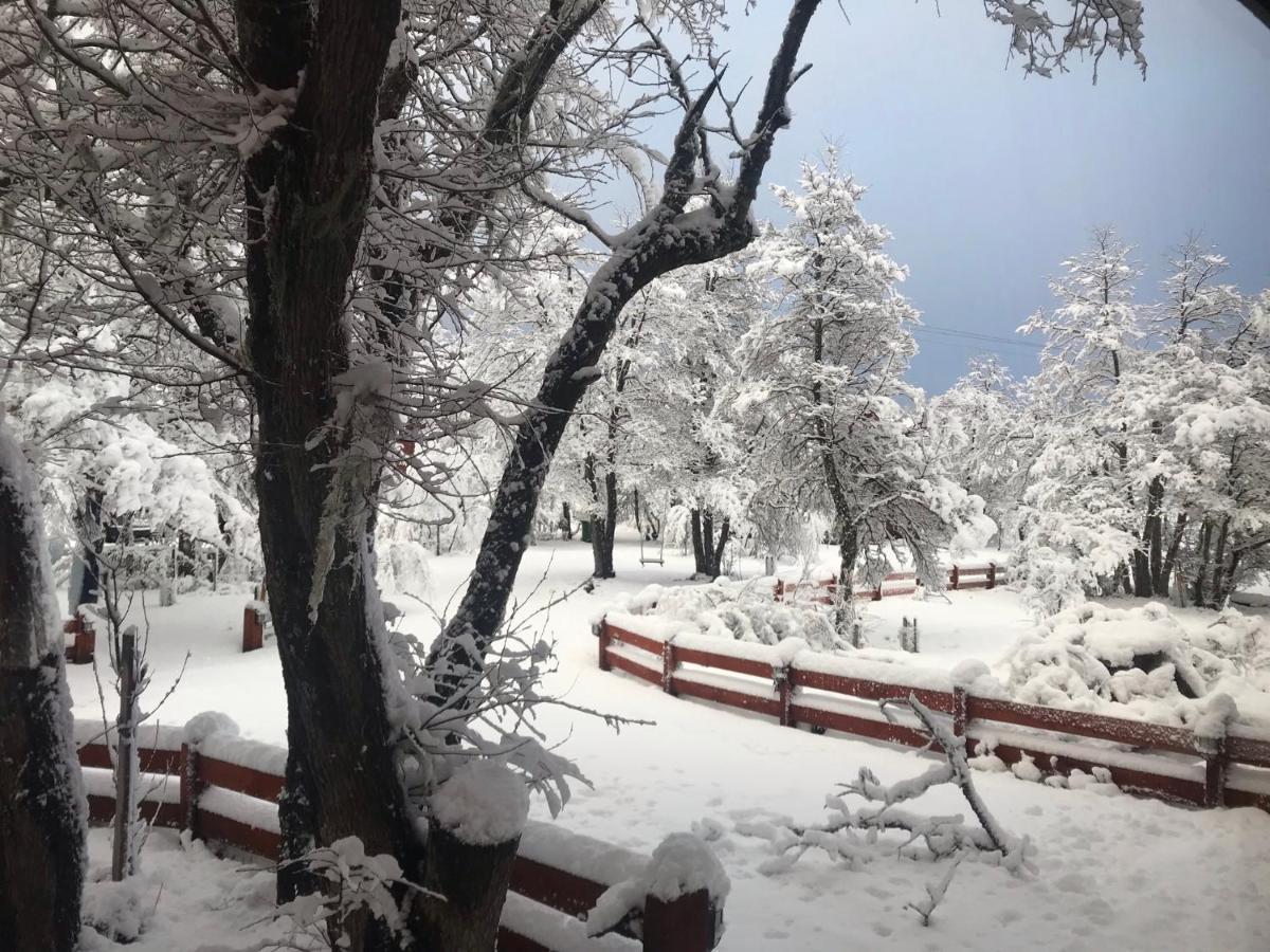 Bosque Nevado Chalé