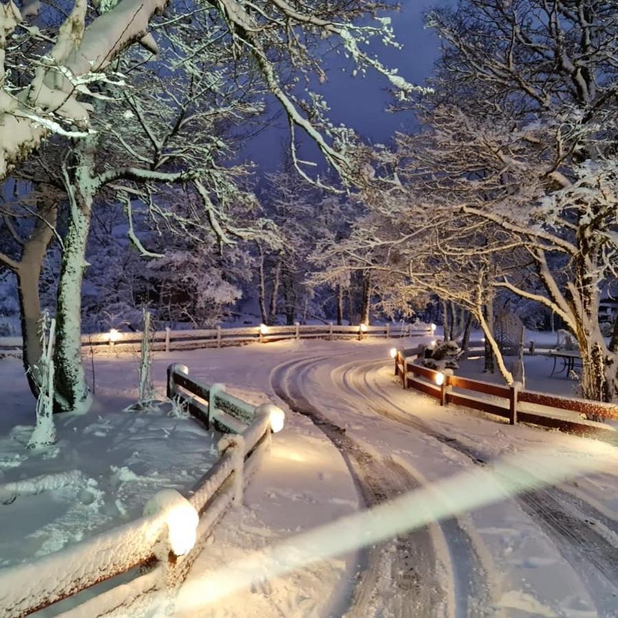 Bosque Nevado Chalé Malalcahuello