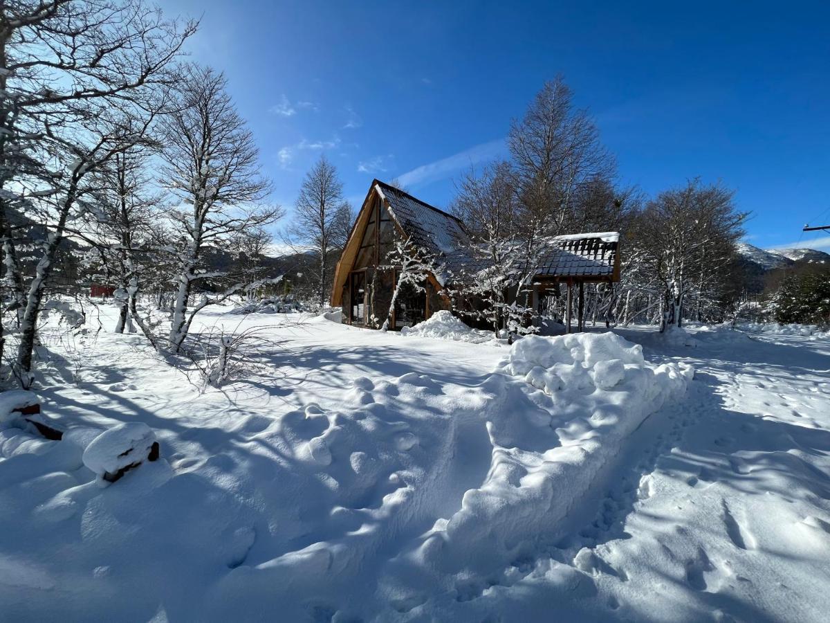 Bosque Nevado *