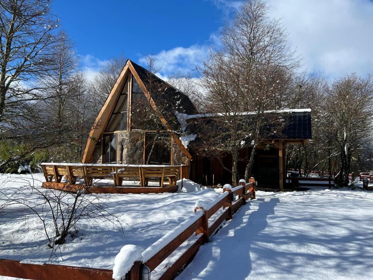 Bosque Nevado