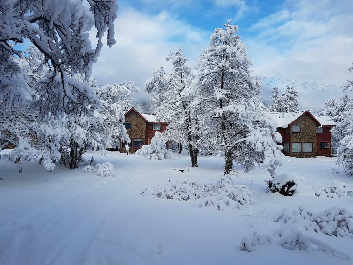 Chalé Bosque Nevado *