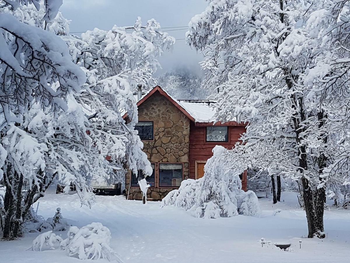 Bosque Nevado Chalé *