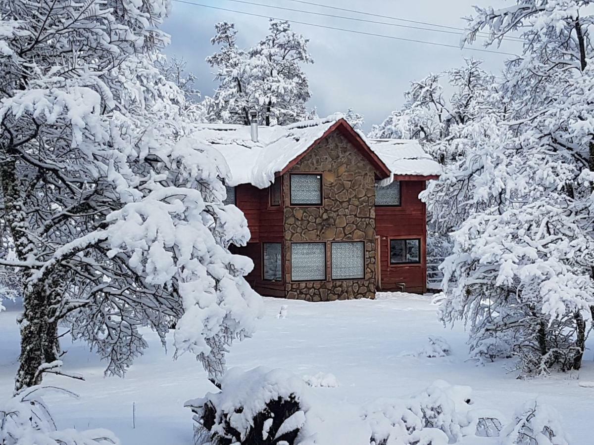 Bosque Nevado Malalcahuello
