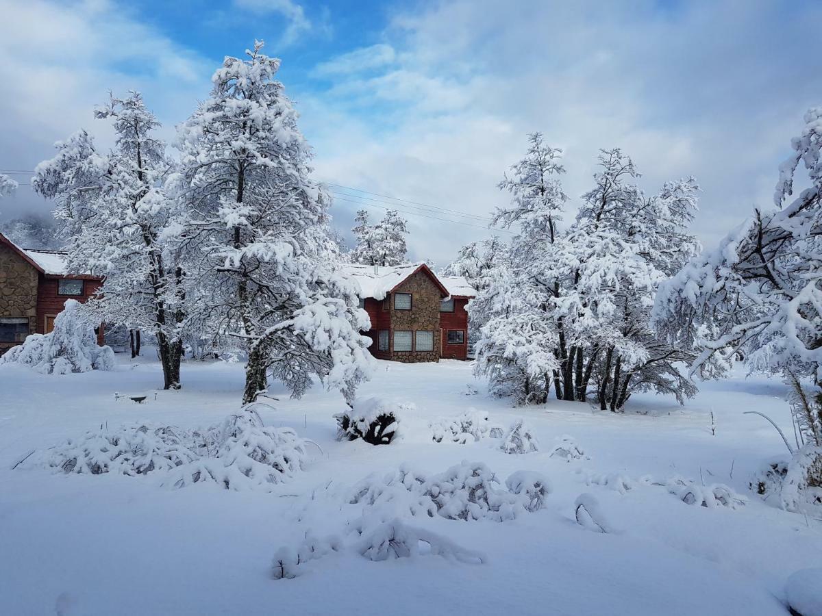 Chalé Bosque Nevado *